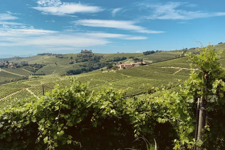 Loazzolo