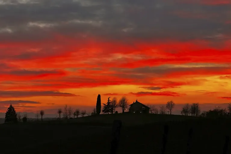 Malvasia di Castelnuovo Don Bosco