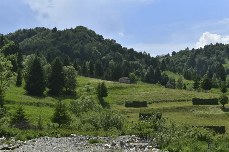 Crisana-Maramures