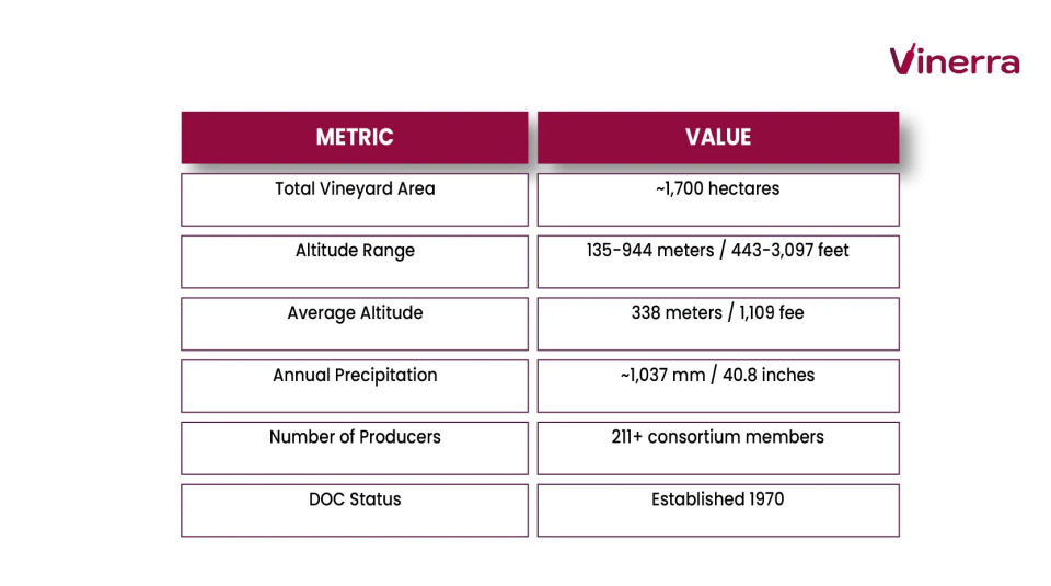 Statistics of the Marino DOC
