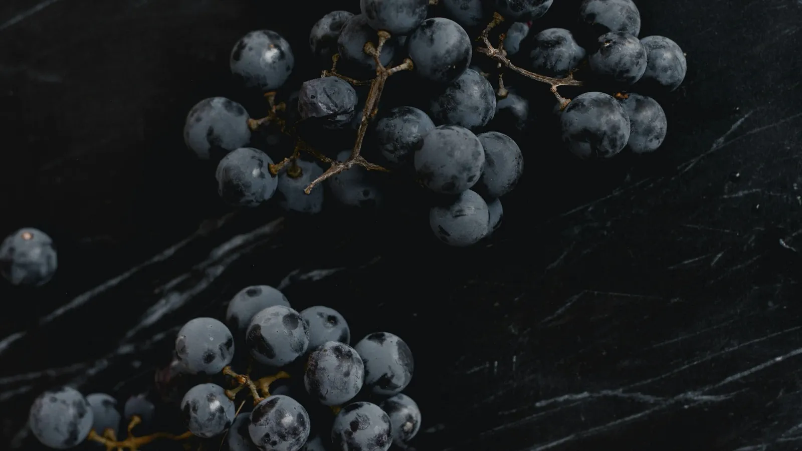 Exploring the Marquette Grape Varietal: Everything You Need to Know