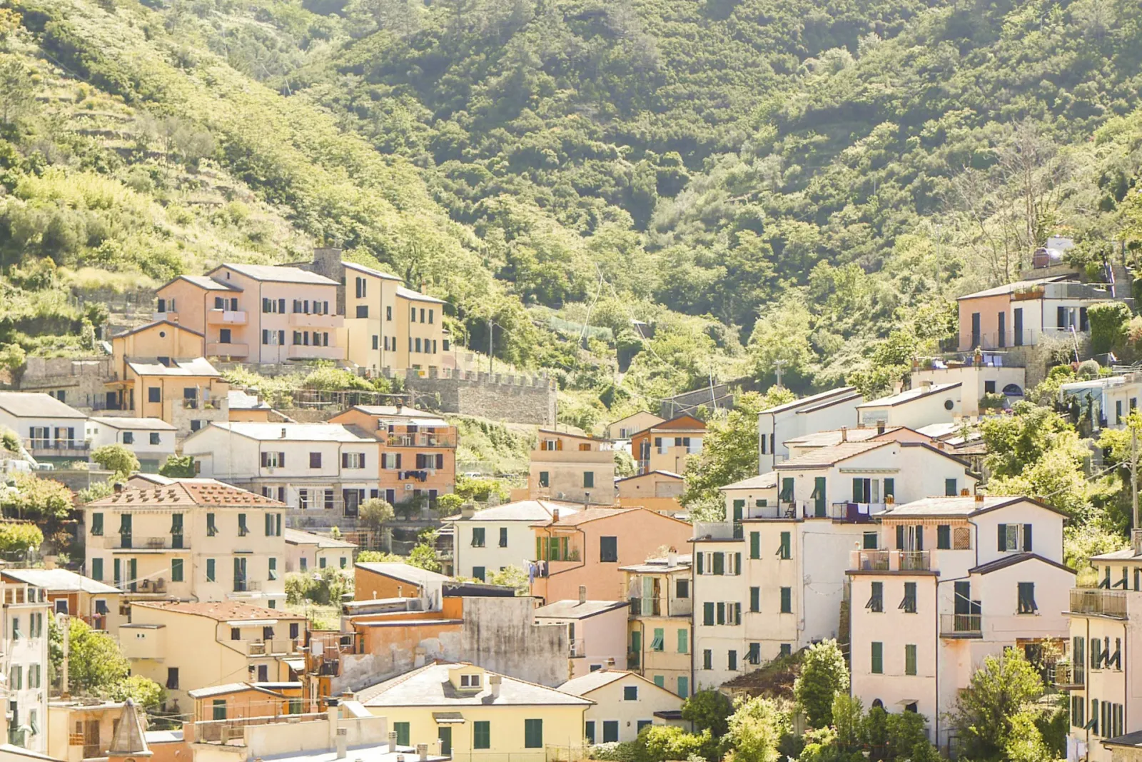 Est! Est!! Est!!! di Montefiascone DOC