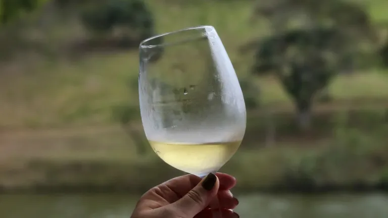 Morokanella: An In-Depth Wine Profile