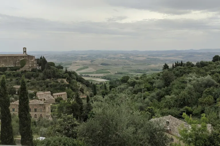 Moscadello di Montalcino