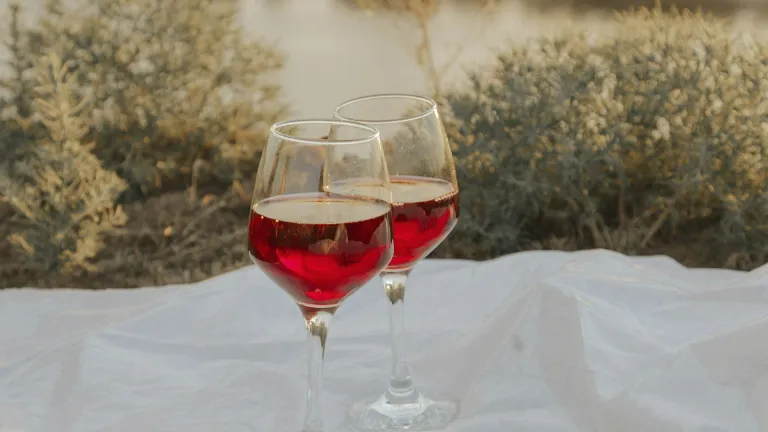 Mourvèdre: an In-Depth Wine Profile