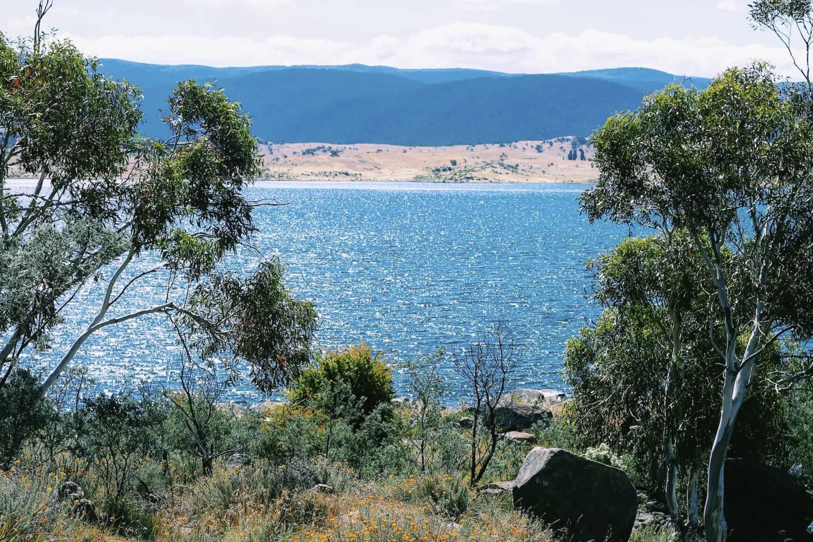 Mudgee