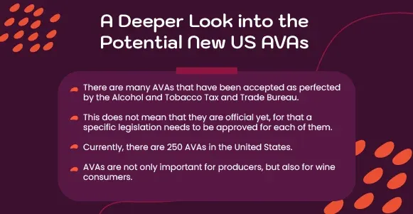 A Deeper Look into the Potential New US AVA’s