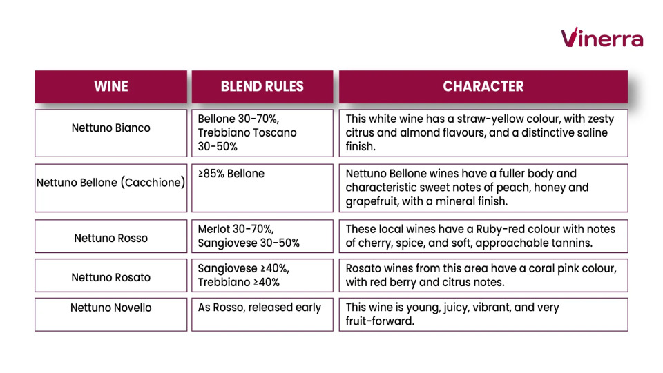 Table with the wine styles of the Nettuno DOC