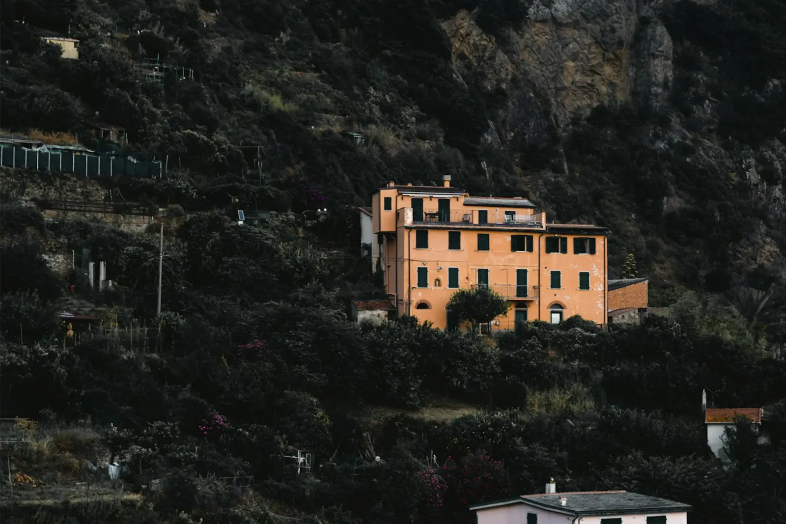 Cesanese di Olevano Romano DOC