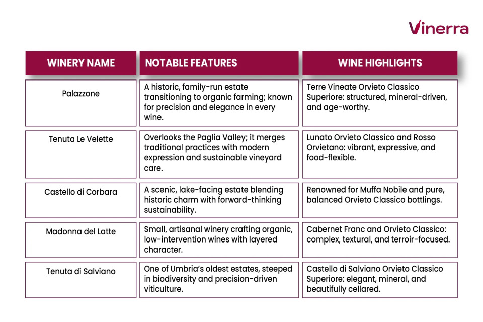 Table with the best wineries within the Orvieto DOC