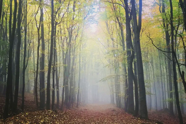Pezinok