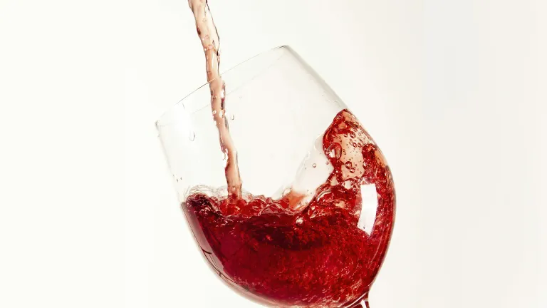Pinot Meunier: An In-Depth Wine Profile