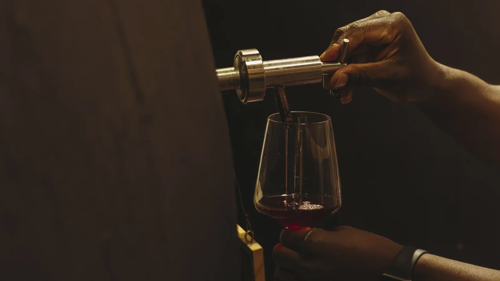 Pinotage: An In-Depth Wine Profile