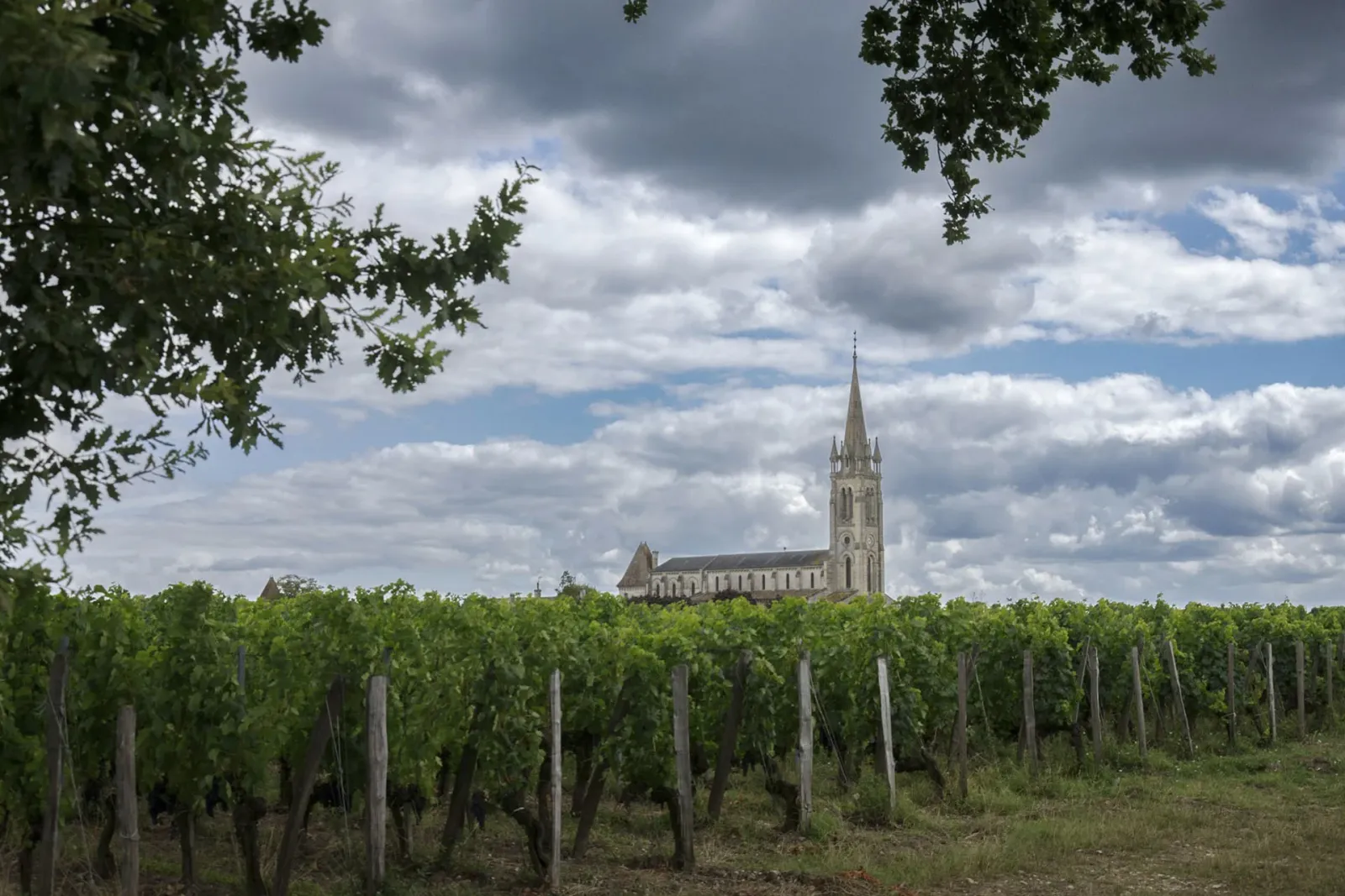 Pomerol AOC