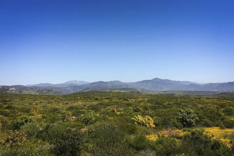 Rancho Guejito AVA