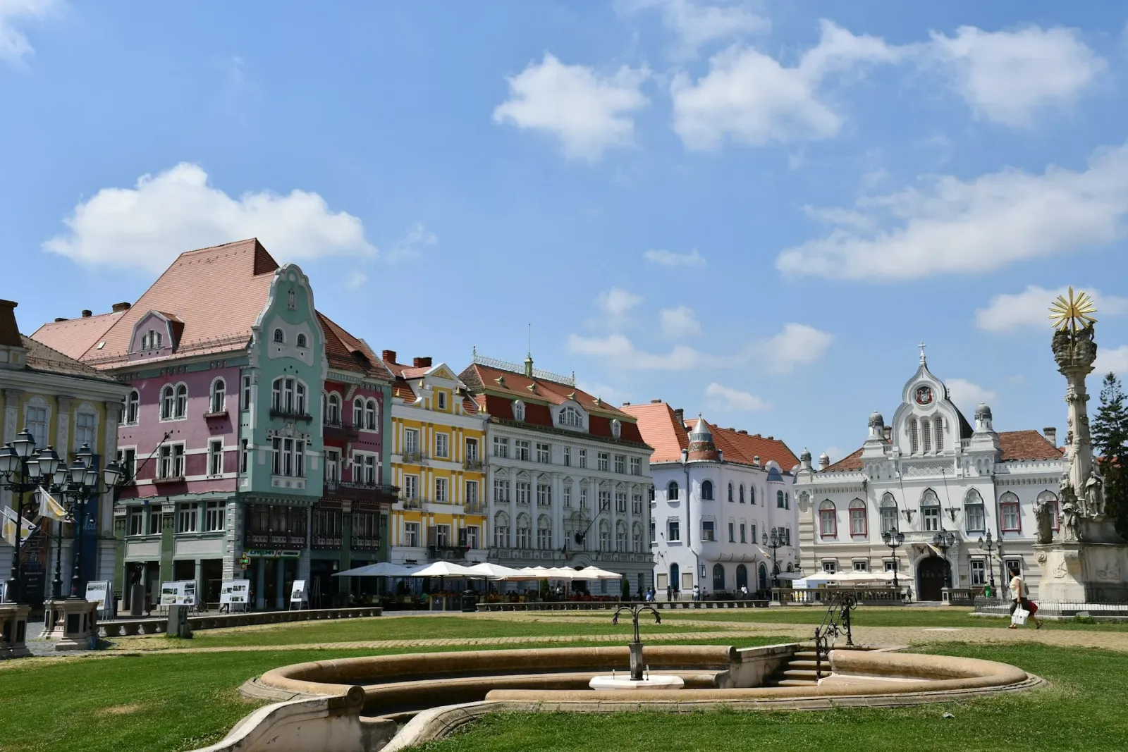 Recaș DOP