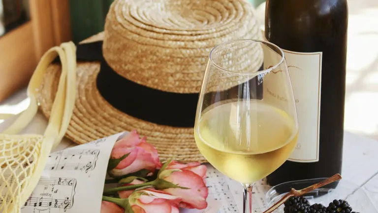 Riesling Renano: The Noble Aristocrat of White Wine