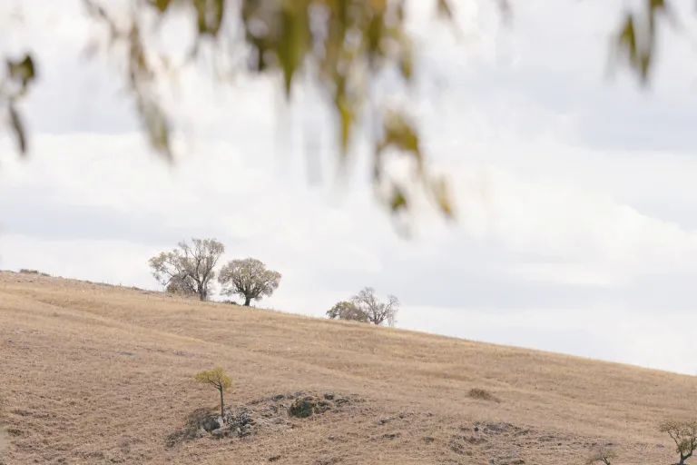 Riverina