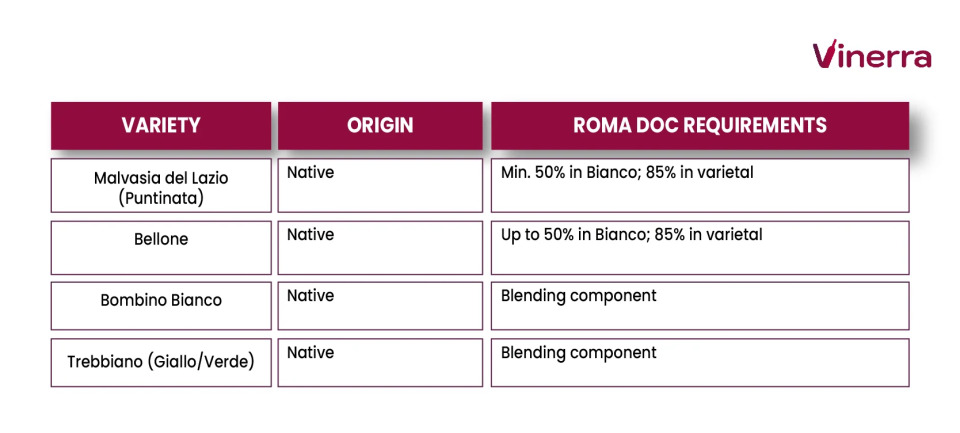 Table with the white grapes of the Roma DOC