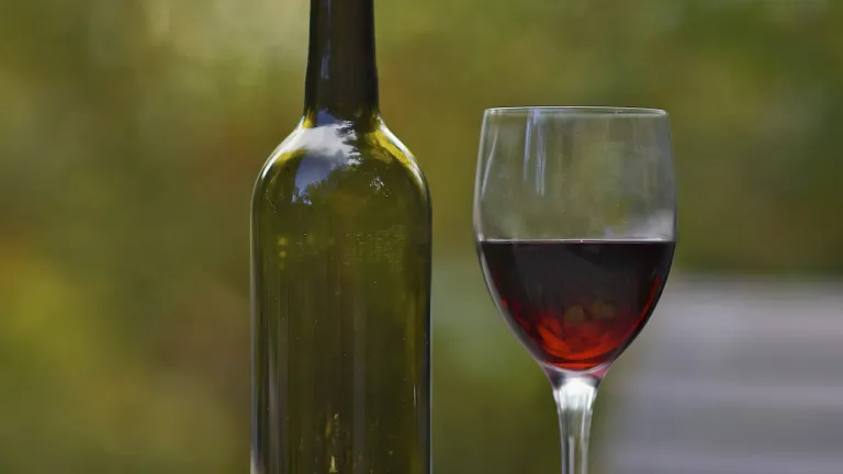 Rondo: an In-Depth Wine Profile