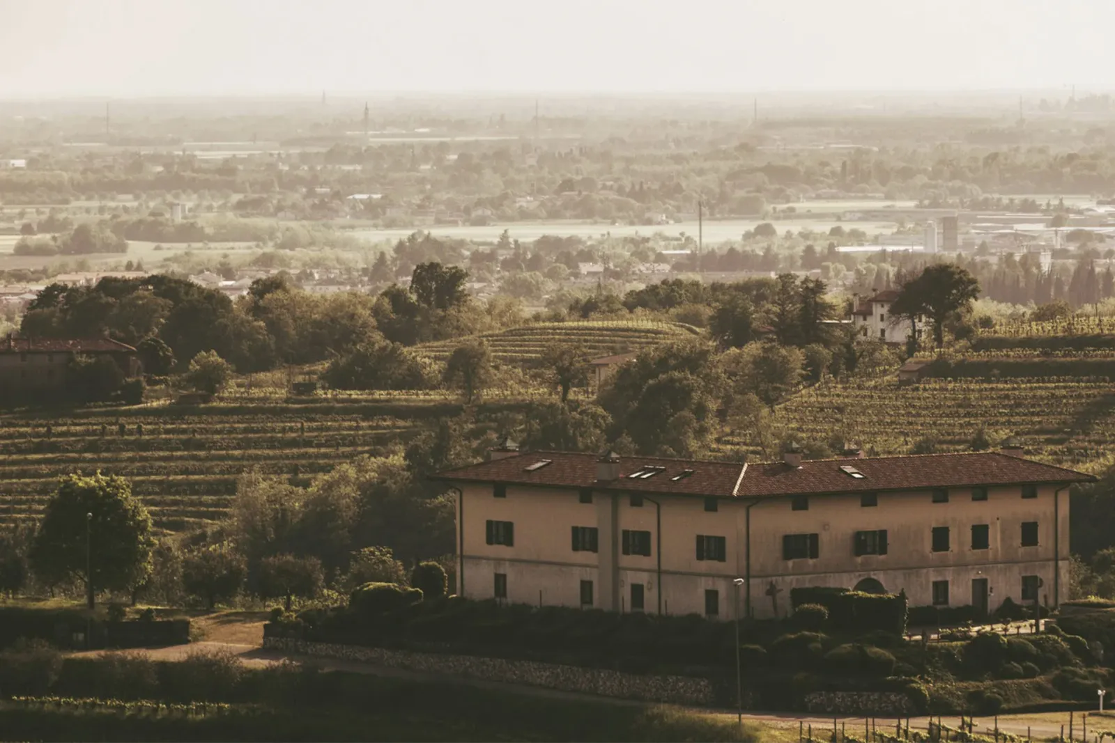 Rosazzo