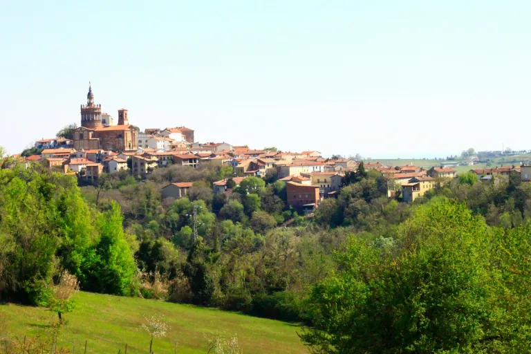 Ruché di Castagnole Monferrato