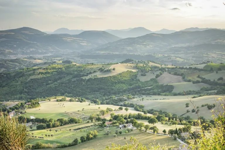 San Ginesio DOC