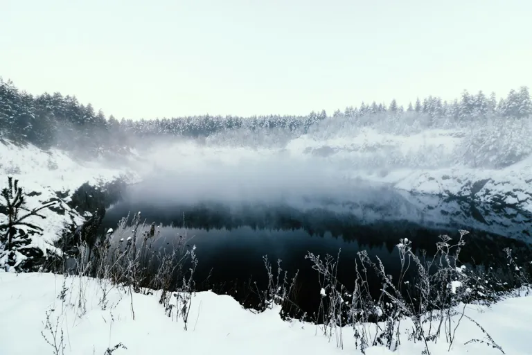 Sebechleby