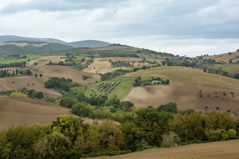 Serrapetrona DOC