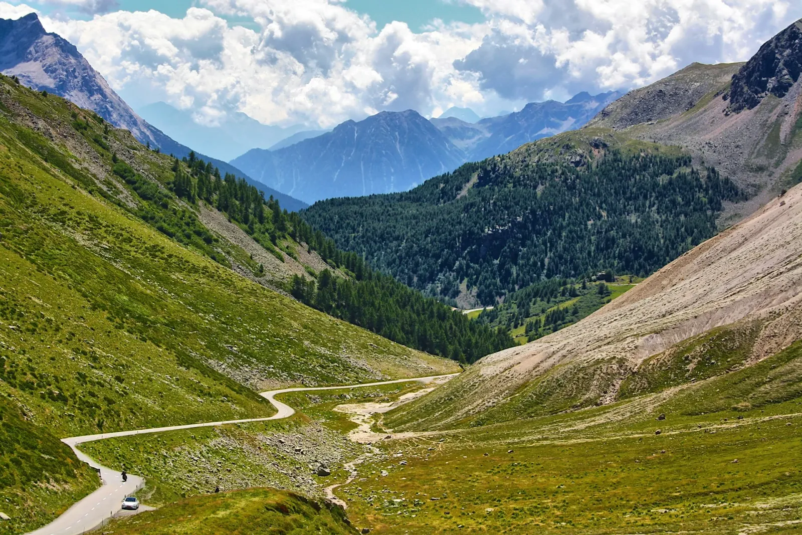 Sforzato di Valtellina