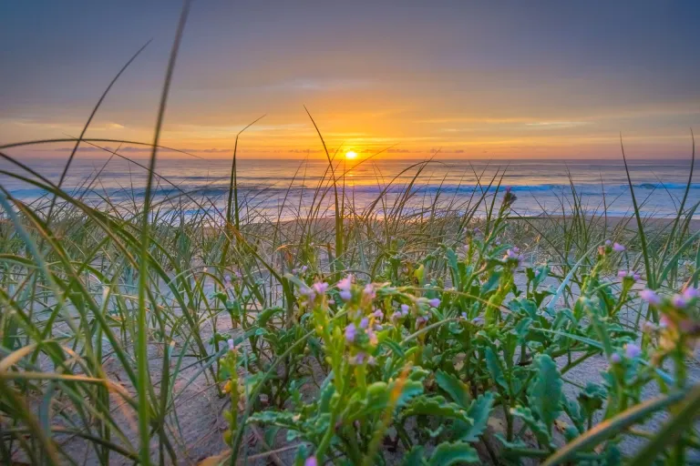 Shoalhaven Coast