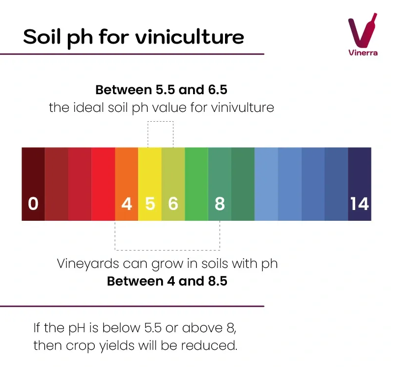 soil ph for viniculture