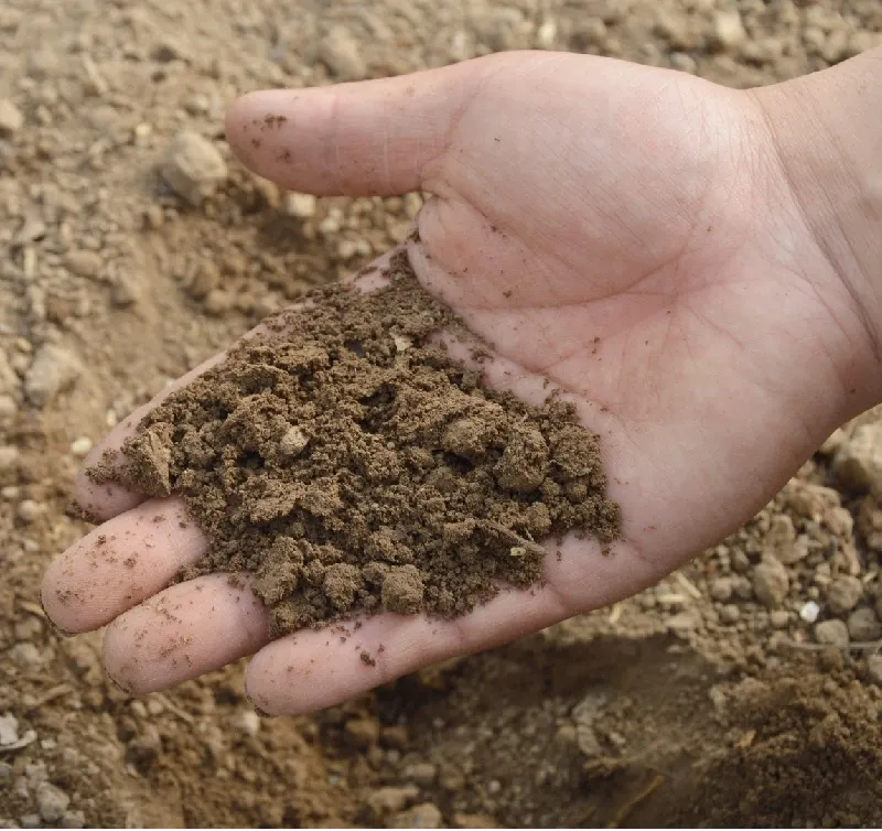 soil managment