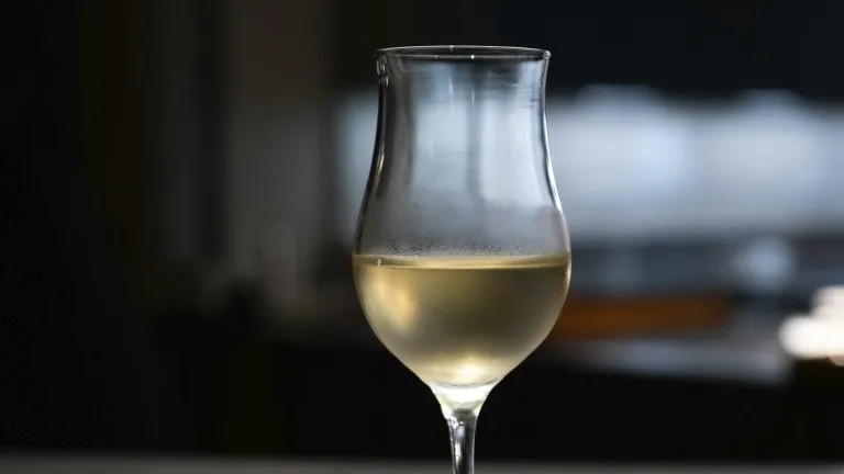 Solaris: an In-Depth Wine Profile