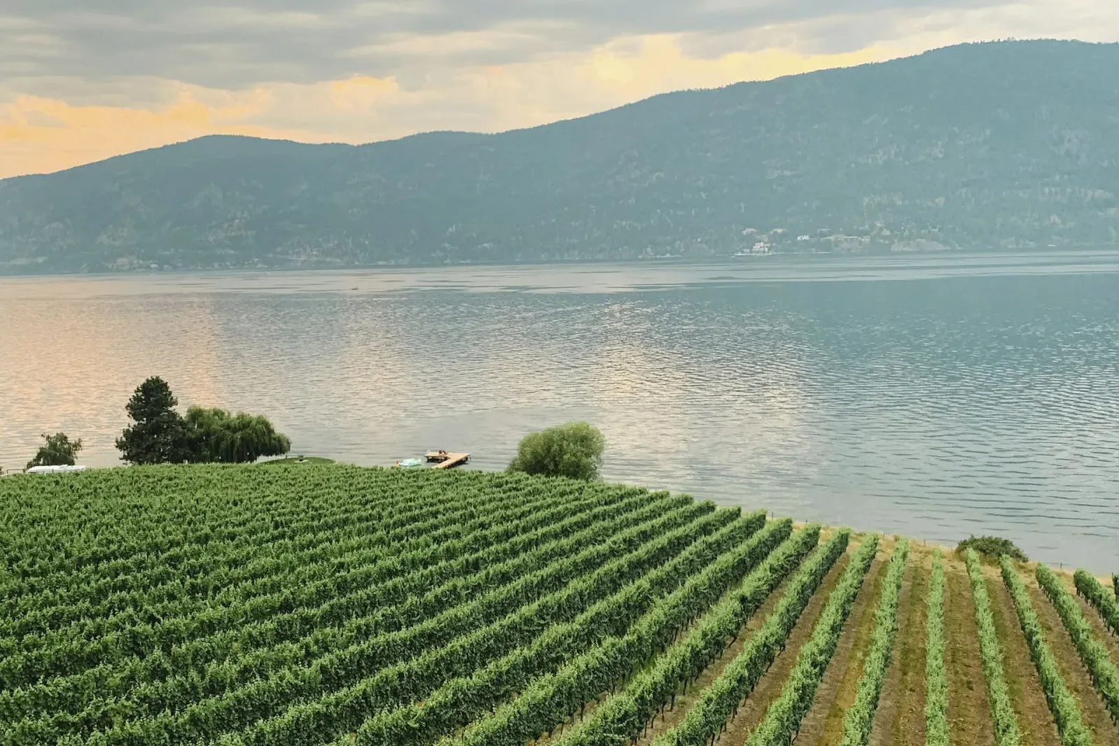 South Kelowna Slopes