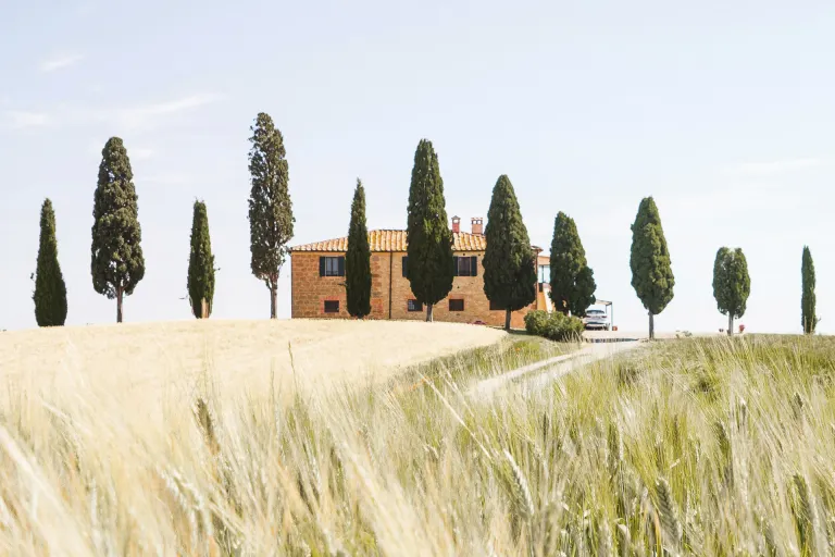 Suvereto