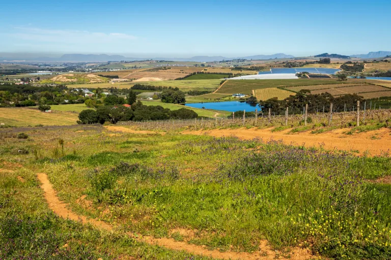Swartland