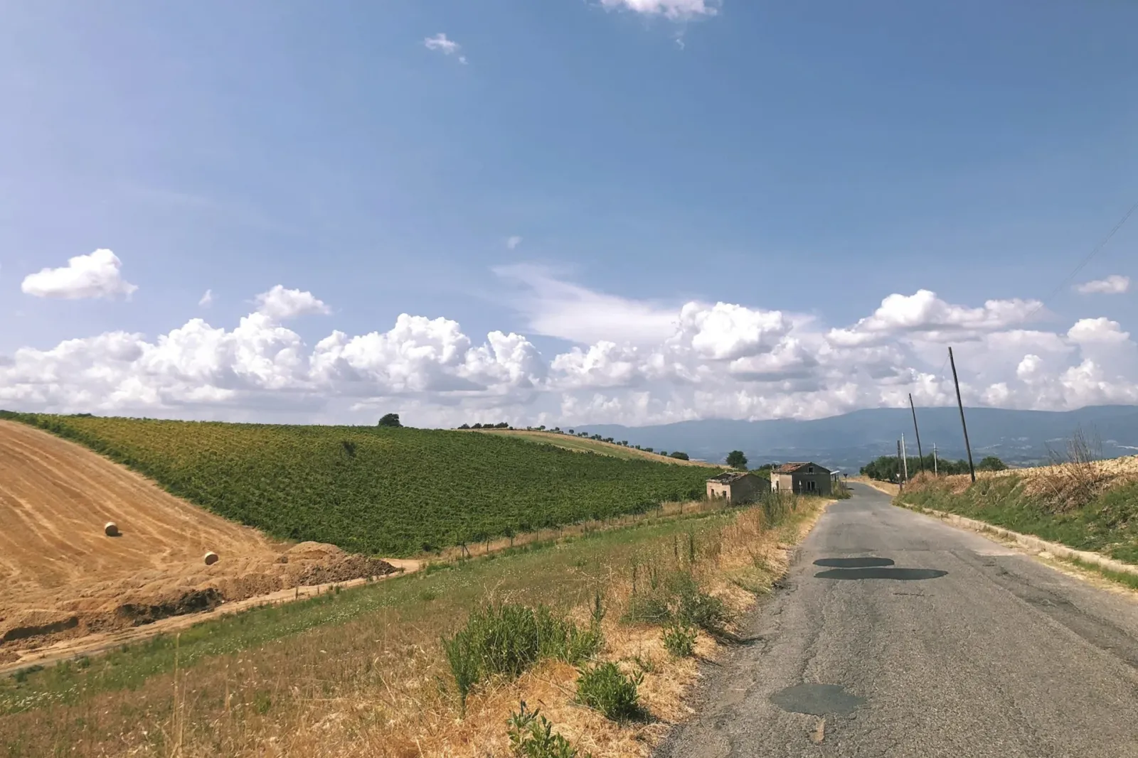Terre di Cosenza