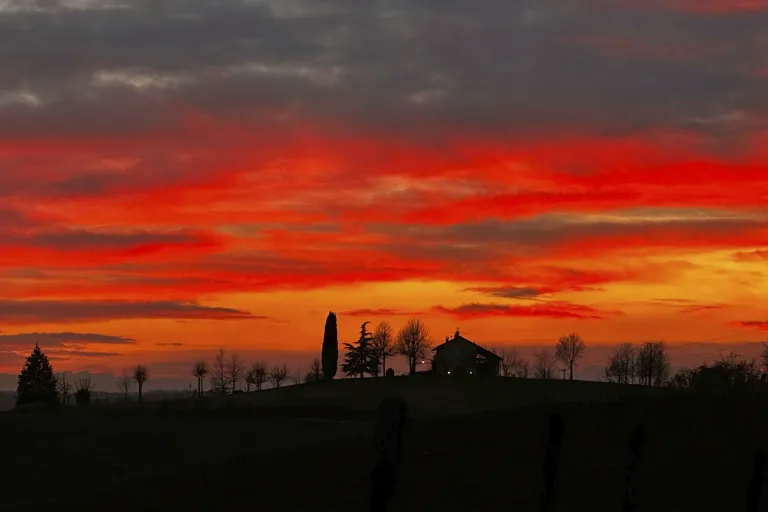 Terre Alfieri