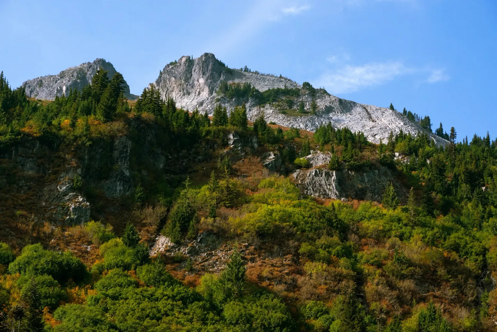 The Burn of Columbia Valley AVA