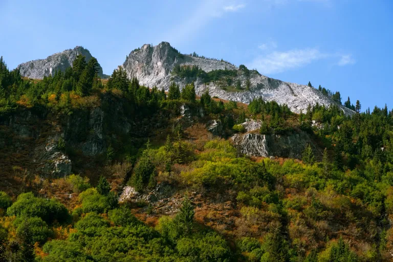 The Burn of Columbia Valley AVA