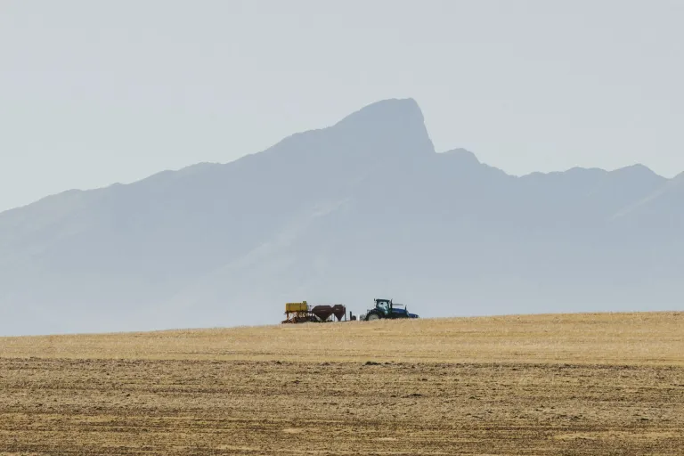 Tulbagh