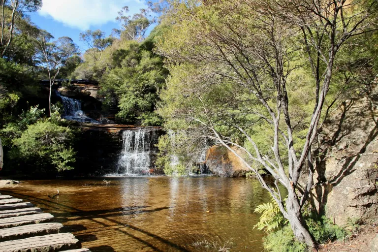 Tumbarumba