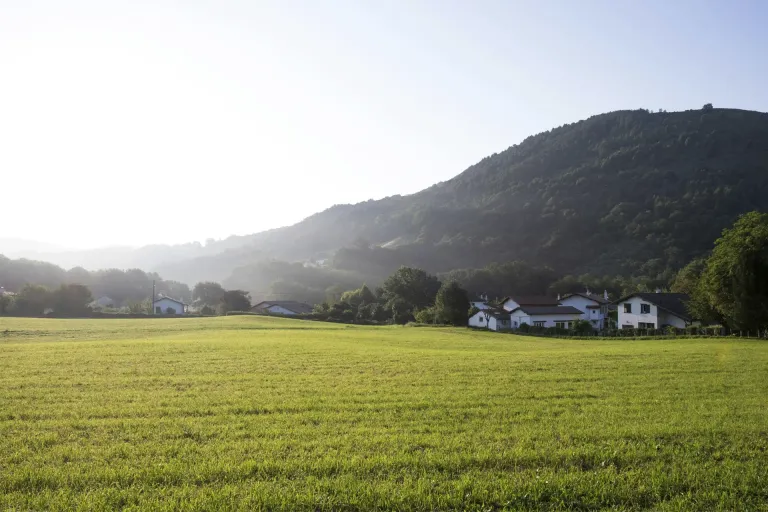 Txakoli de Álava DO