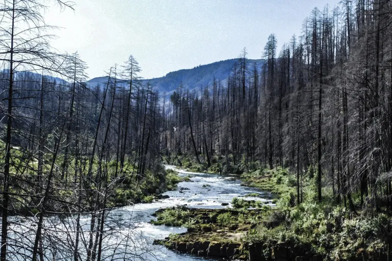 Umpqua Valley AVA