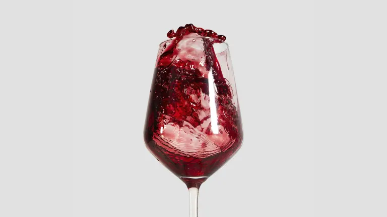 Valpolicella Ripasso: an In-Depth Wine Profile