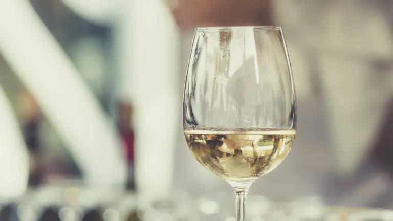 Verdejo: an In-Depth Wine Profile