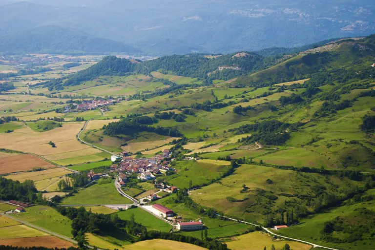 Valdizarbe DO