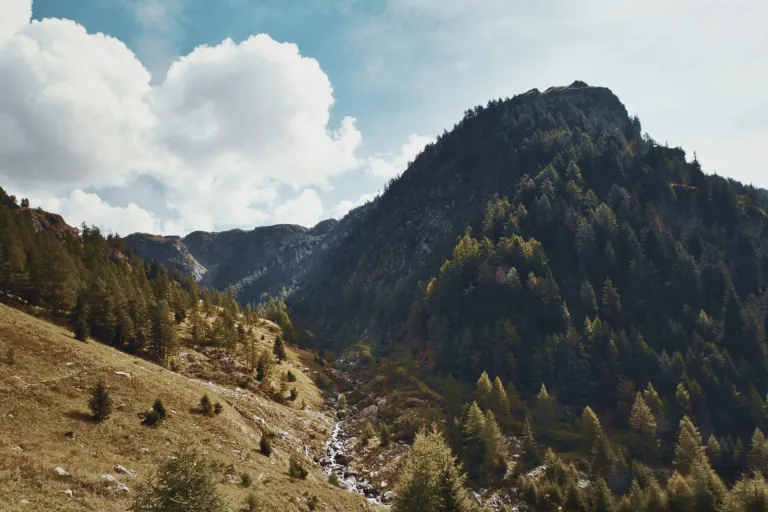Valtellina Superiore