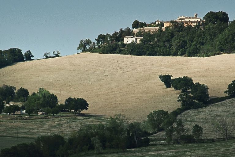 Verdicchio di Matelica DOC